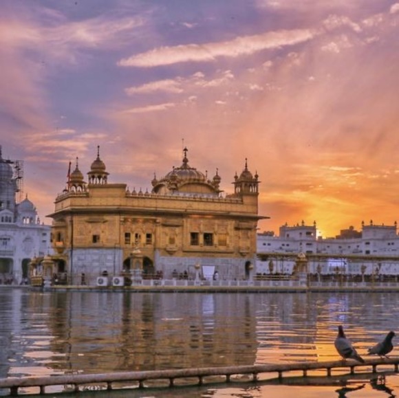 Meet your Posher, Gurpreet - Picture 1 of 1